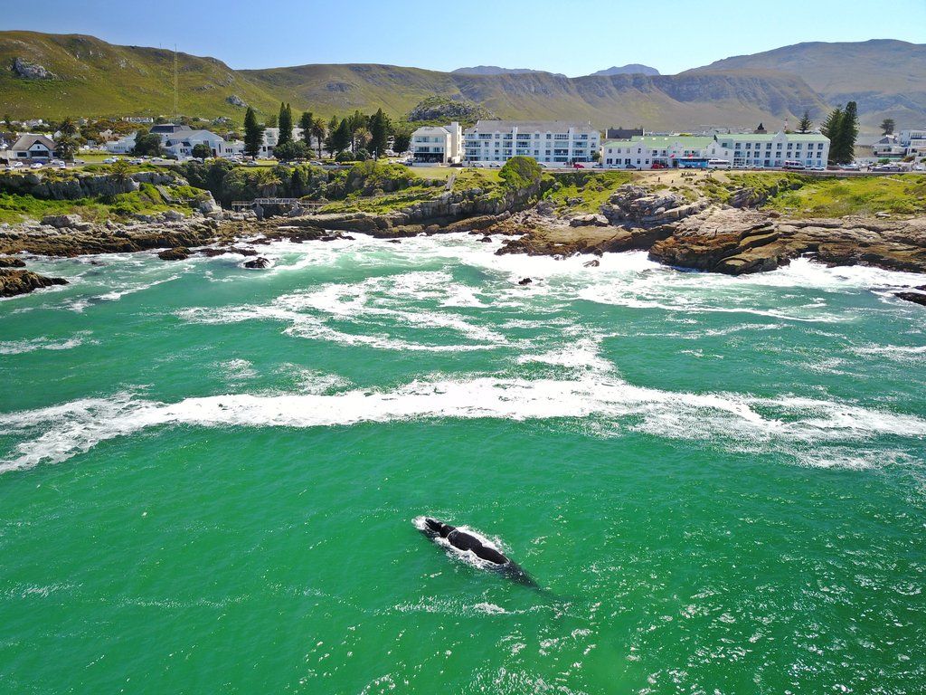 Windsor Hotel Hermanus Luaran gambar